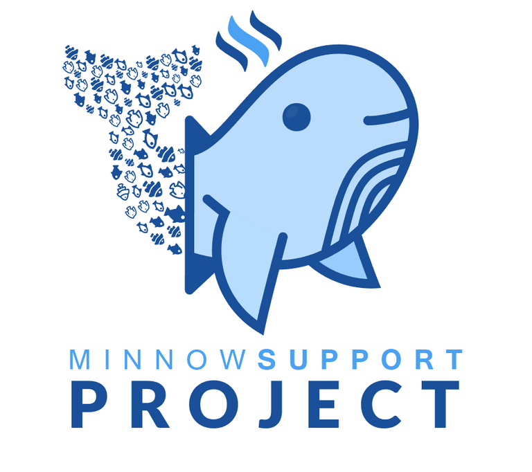 Minnow Support Project