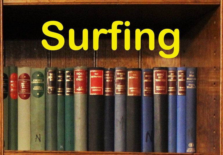 Library Surf Shelf