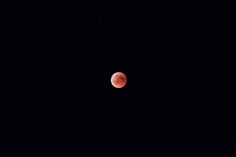 IMG_0263.jpg