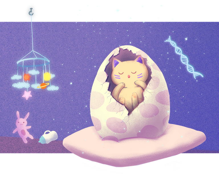 CreativeCrypto_CK_KittyVerse-Introduction.png