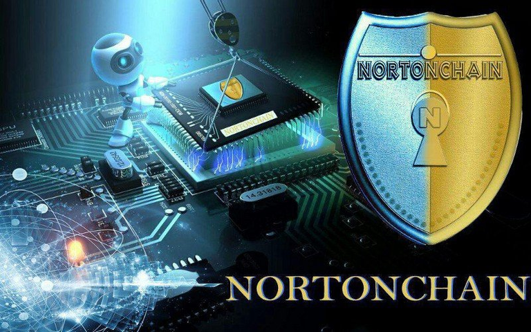 Image result for nortonchain ico