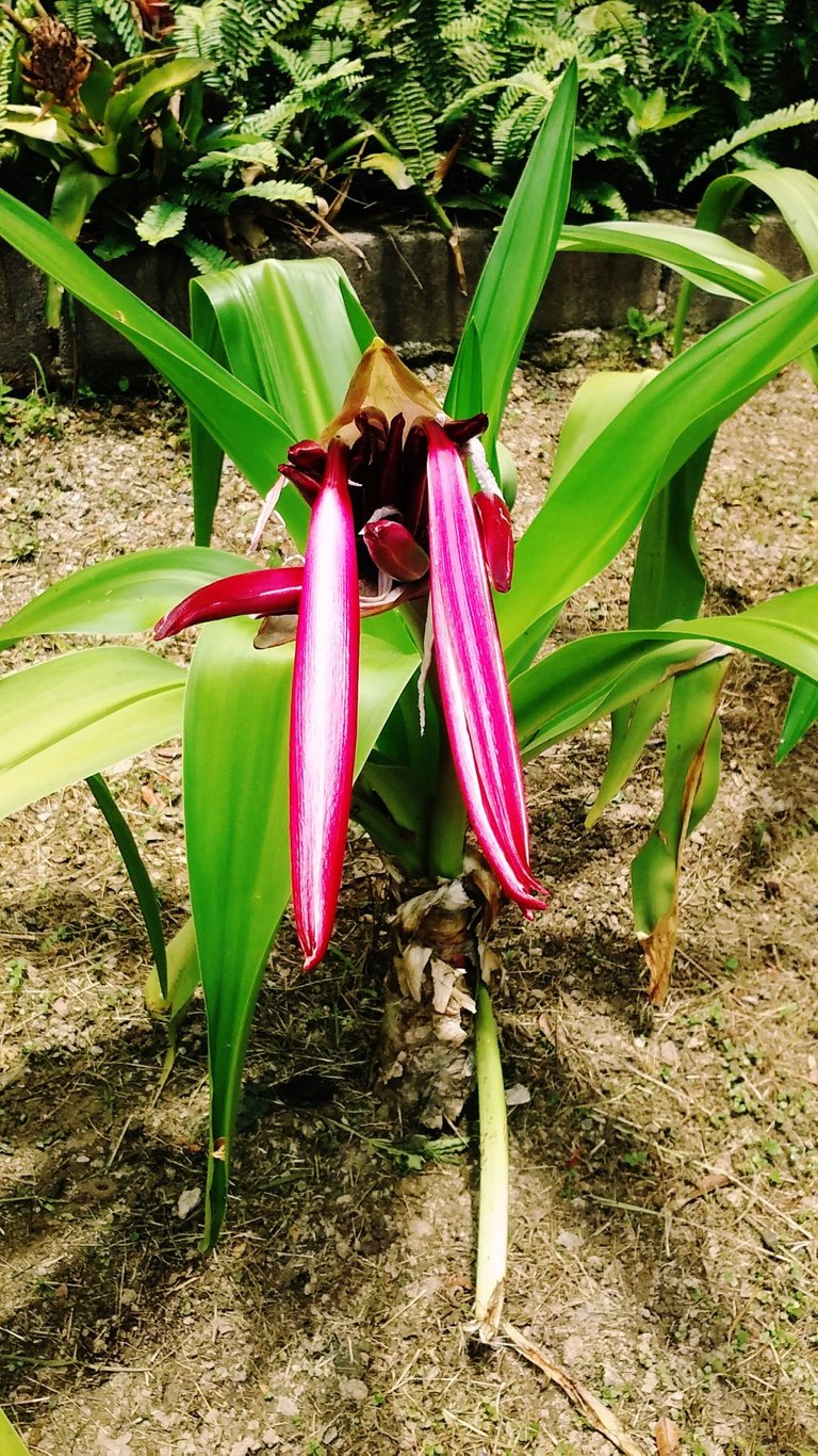 20190709_120837.jpg