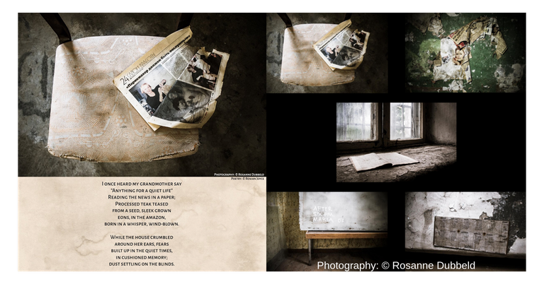Rosa Images Collection_edit.png