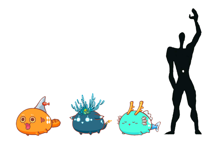 axie_height.png
