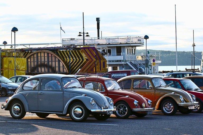 One photo every day: Three Beetles (64/365)