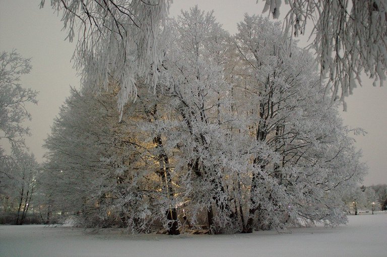 Snowy illuminated island