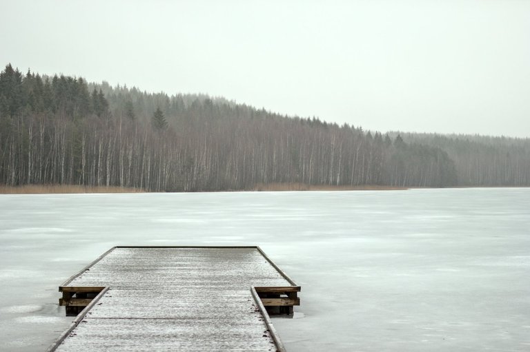 Pier, lake, and forest