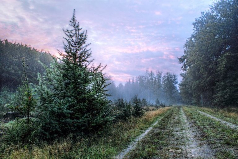 HDR landscape