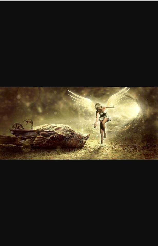 fantasy-bird-death-angel-elf-fee-3677989