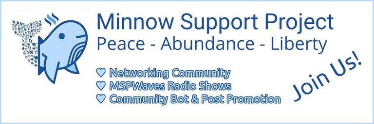 Minnow Support Project