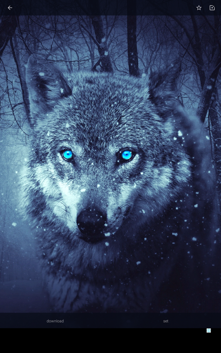 Screenshot_2019-02-14-02-11-49.png
