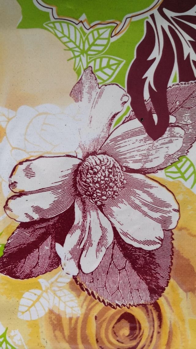 1732f9e3cca4e8cf1e1f85d4e2dc6de4