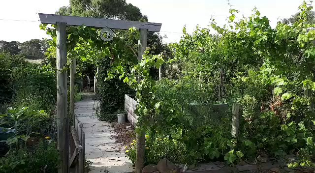 garden