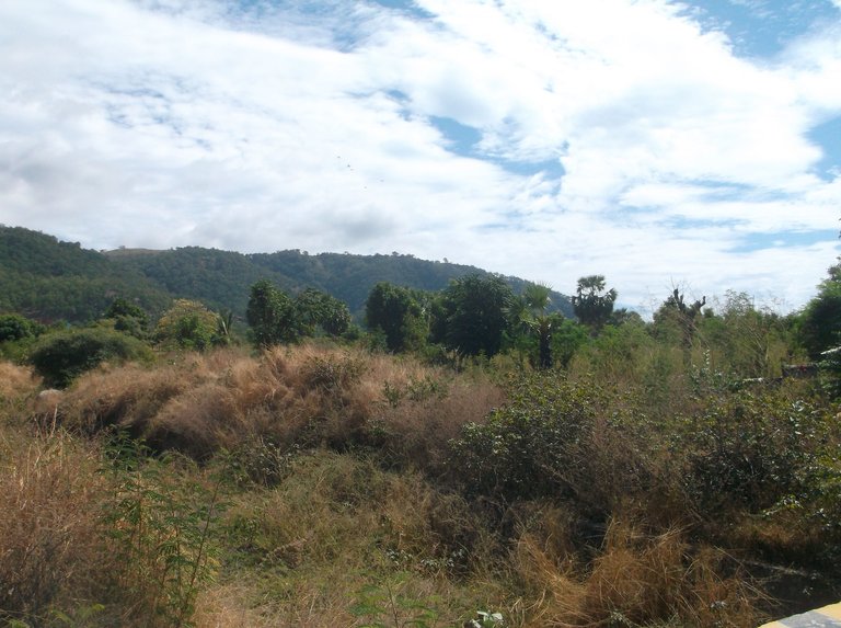 DSCF4559.JPG