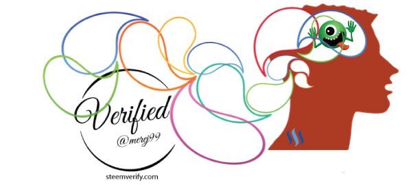 Meredith Loughran blogs on Steemit.com and now has a video on DTube! @merej99