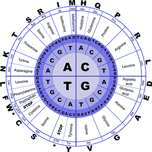 dna.png