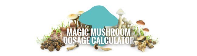 Use Our Magic Mushrooms Dosage Calculator