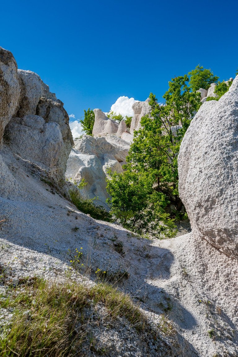 Visual trip at the Stone Wedding