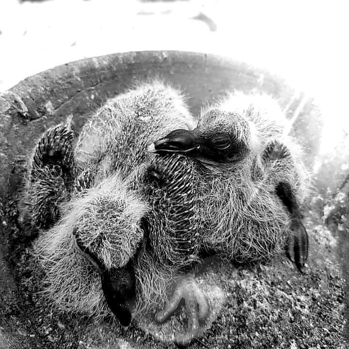 My Black and White Photography Challenge #107