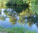 main_image