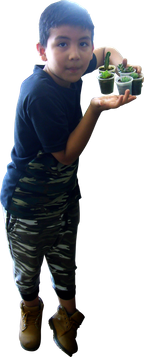 Tienda.png