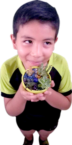 Picardia.png