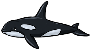 orca.png