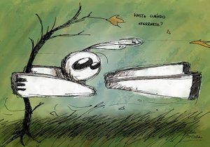 pura vida
