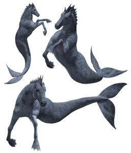 hippocampus-3373509_1280.png