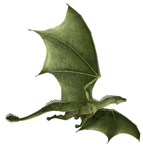 dragon-3009174_1920.png