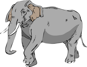 elephant-2.png