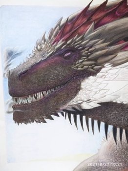 dragon 4.jpg