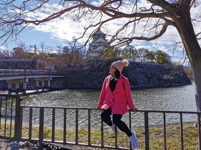 Osaka castle.jpg