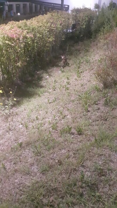 KakaoTalk_20180808_215851299.jpg