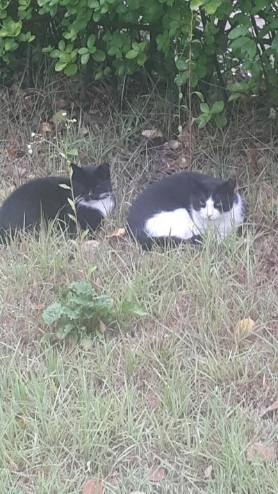 KakaoTalk_20180827_211003934.jpg