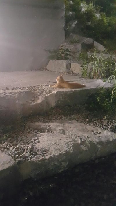 KakaoTalk_20180808_215851621.jpg