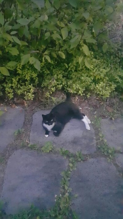 KakaoTalk_20180813_215156173.jpg