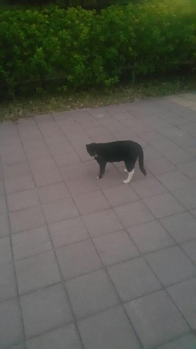 KakaoTalk_20180820_211534180.jpg