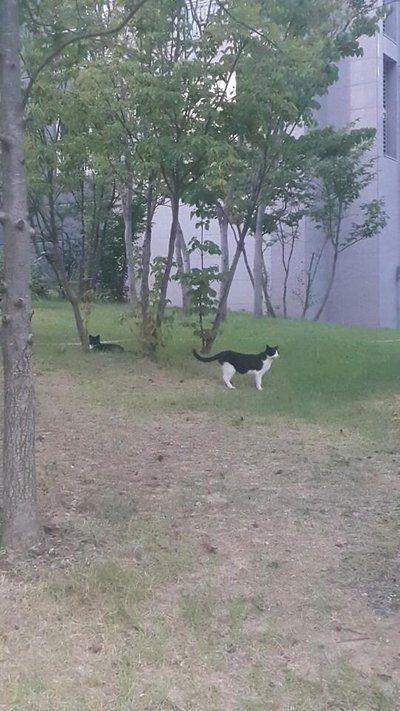 KakaoTalk_20180808_215852255.jpg