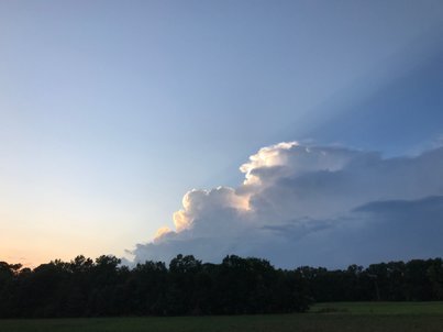IMG_8210.jpg