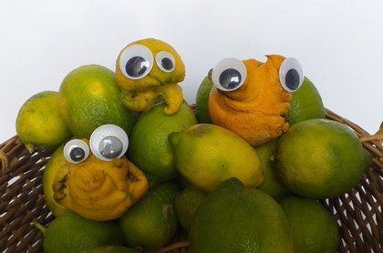 More Aliens in my lemon Tree by @steemean