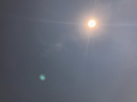 IMG_0605.jpg
