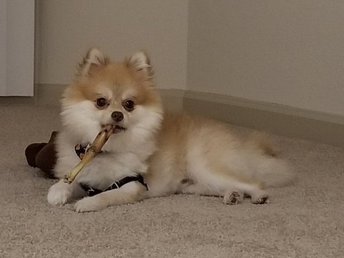 KakaoTalk_20181026_215910668.jpg