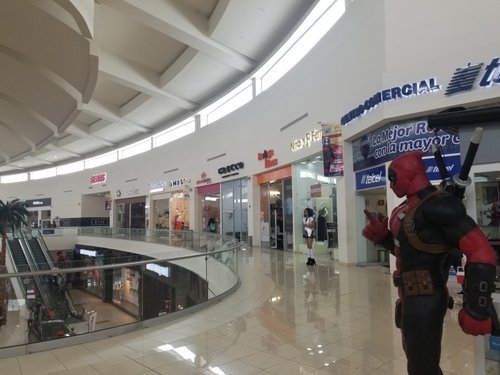 20180810_143555.jpg