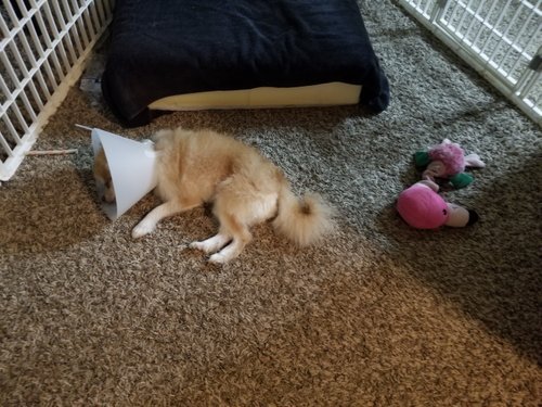 20180810_213651.jpg