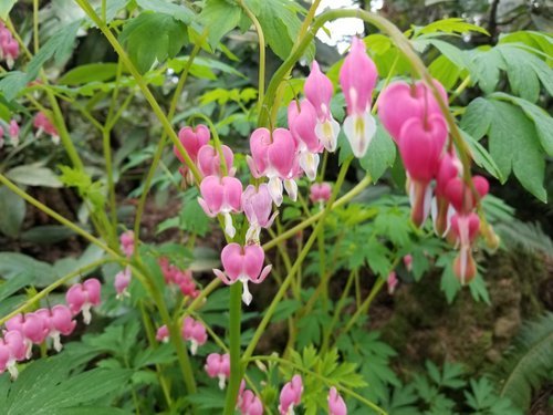 KakaoTalk_20180711_212725209.jpg