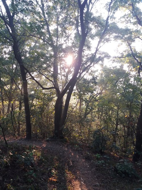 20181021_072114.jpg