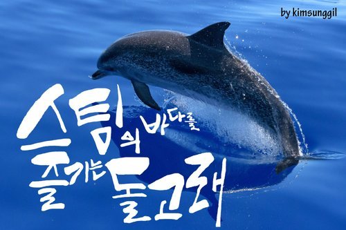 소시_돌고래1