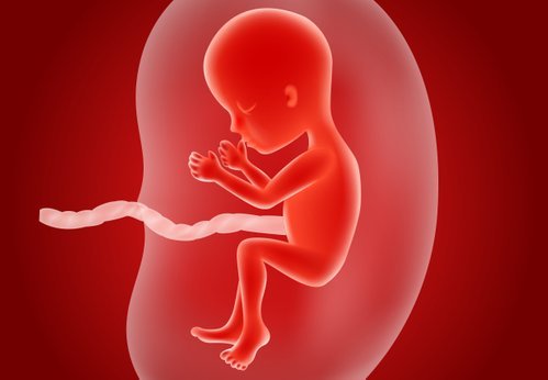 shutterstock_408063952.jpg