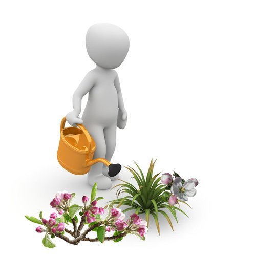 gardener-1015520_1280.jpg